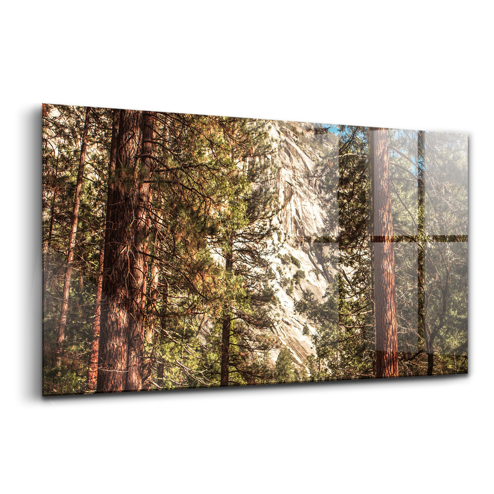 Tablou din sticlă Pădurea din Valea Yosemite