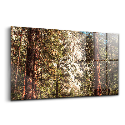 Tablou din sticlă Pădurea din Valea Yosemite