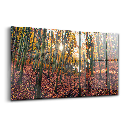 Tablou de sticlă Apus de soare și copaci