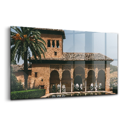 Tablou sticlă Palmier în Grenada