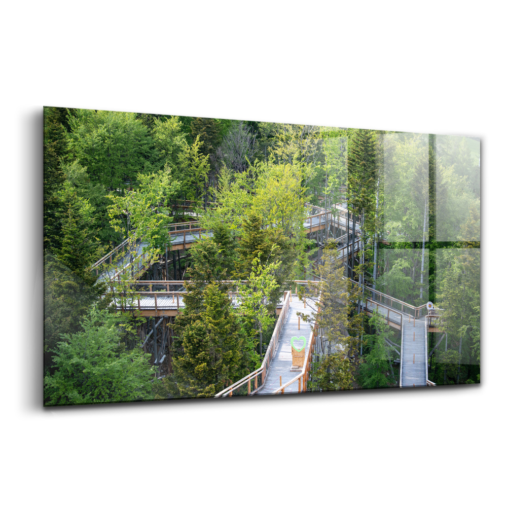 Tablou pe sticlă Cale în primăvara spa-ului