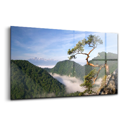 Tablou de sticlă Vârful Sokolica din Munții Pieniny