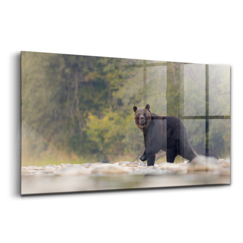 Tablou din sticlă Urs în Munții Bieszczady