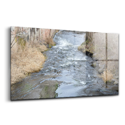 Tablou de sticlă Râul Moravia
