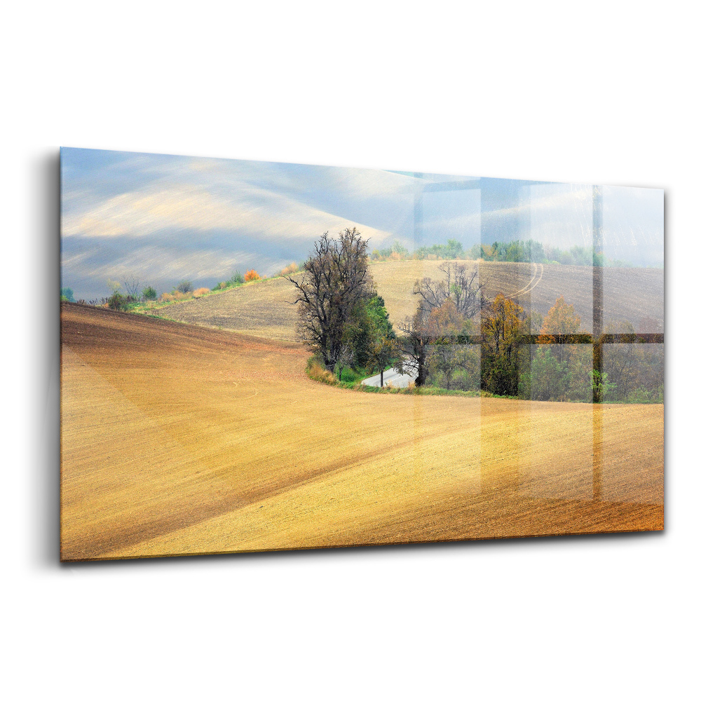 Tablou pe sticlă Peisaj rural din Moravia