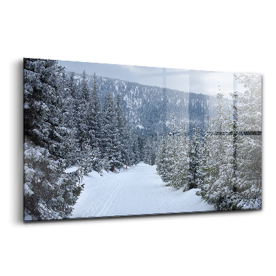 Tablou din sticlă Munții Cehi Krkonoše iarna