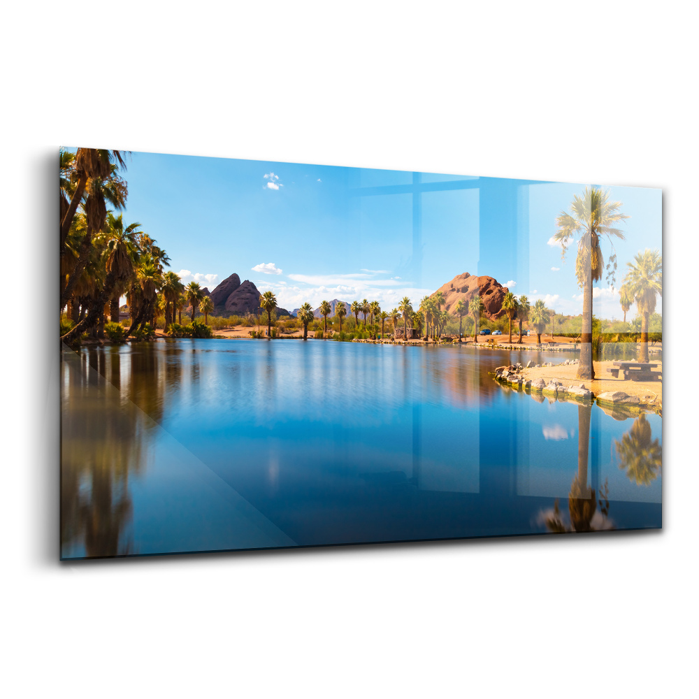 Tablou sticlă Peisajul parcului Papago