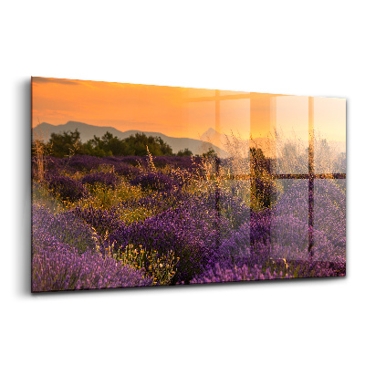 Tablou de sticlă Pajiște de lavandă Provence Franța