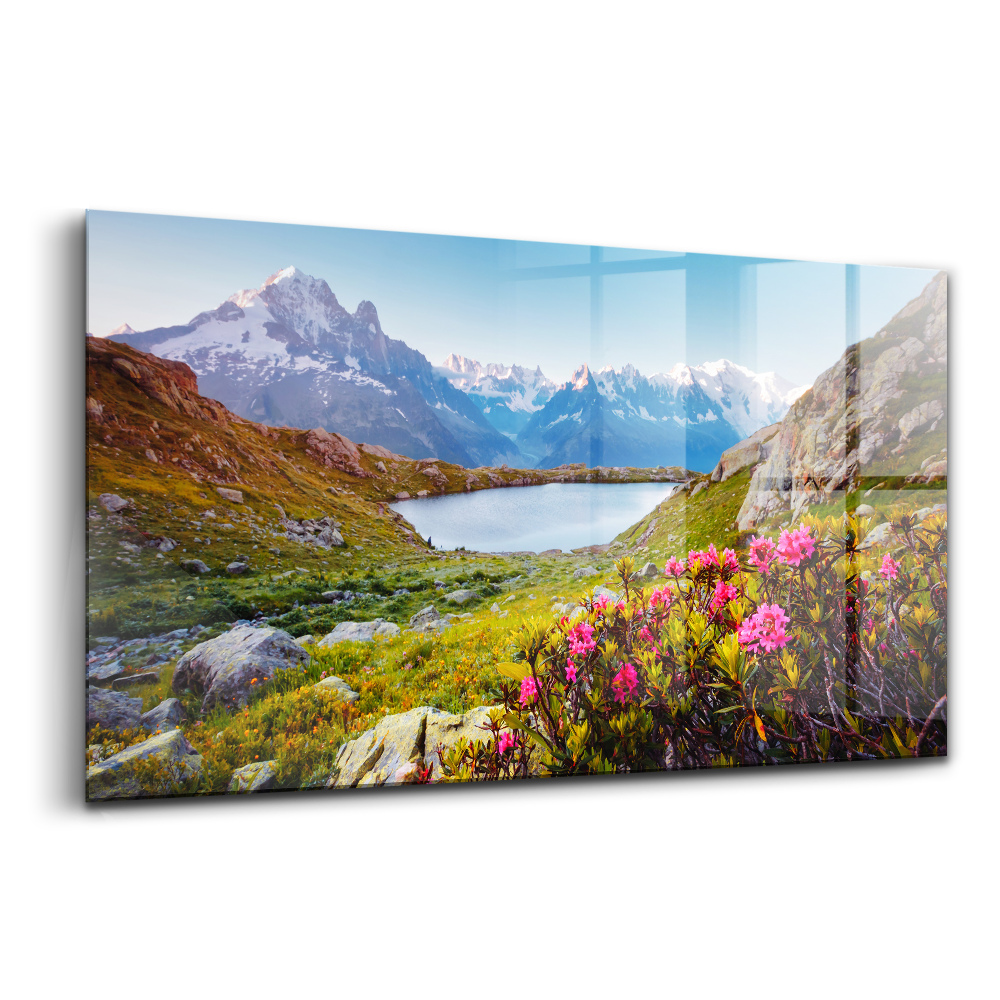 Tablou sticlă Ghețarul Mont Blanc Chamonix