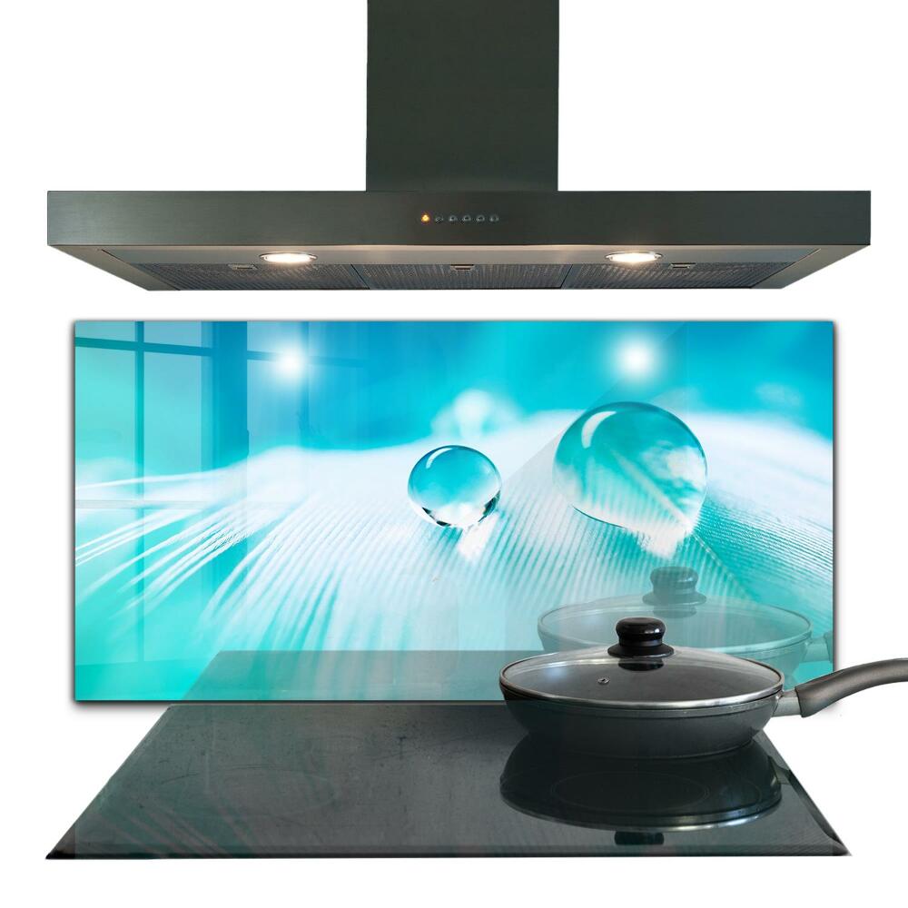 Sticlă pentru bucătărie Rouă pe pana delicată