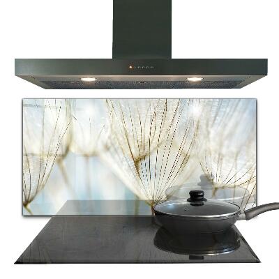 Sticlă pentru bucătărie Păpădie în vânt