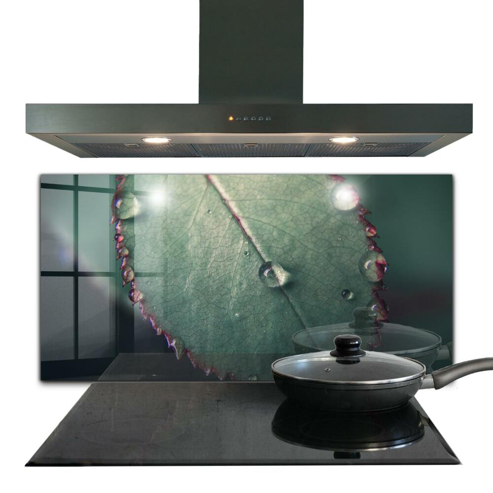 Sticlă pentru bucătărie Frunză cu picătură de rouă