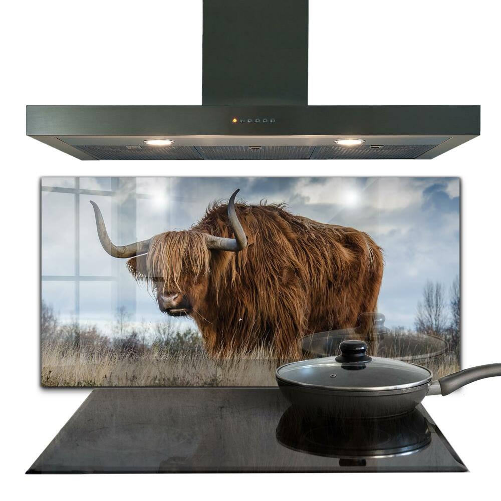 Sticlă bucătărie Vaca Boho Highland