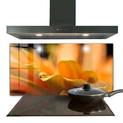 Sticlă pentru bucătărie Floare de gerberă