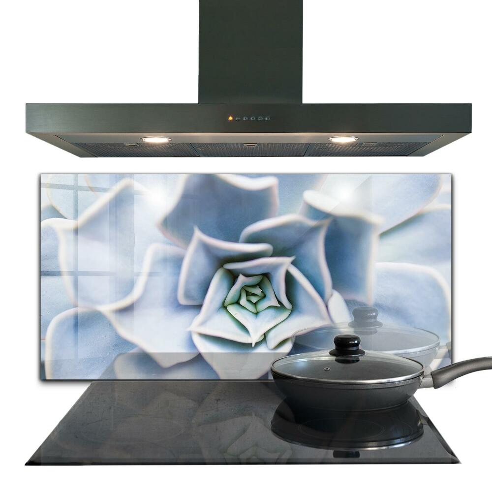 Sticlă pentru bucătărie Cactus suculent