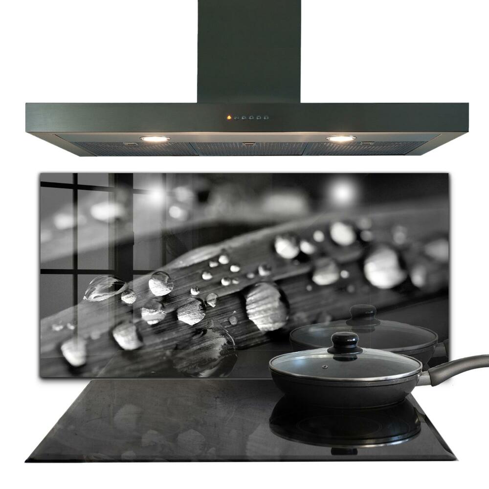 Sticlă bucătărie Frunză de Rosa Alb-Negru