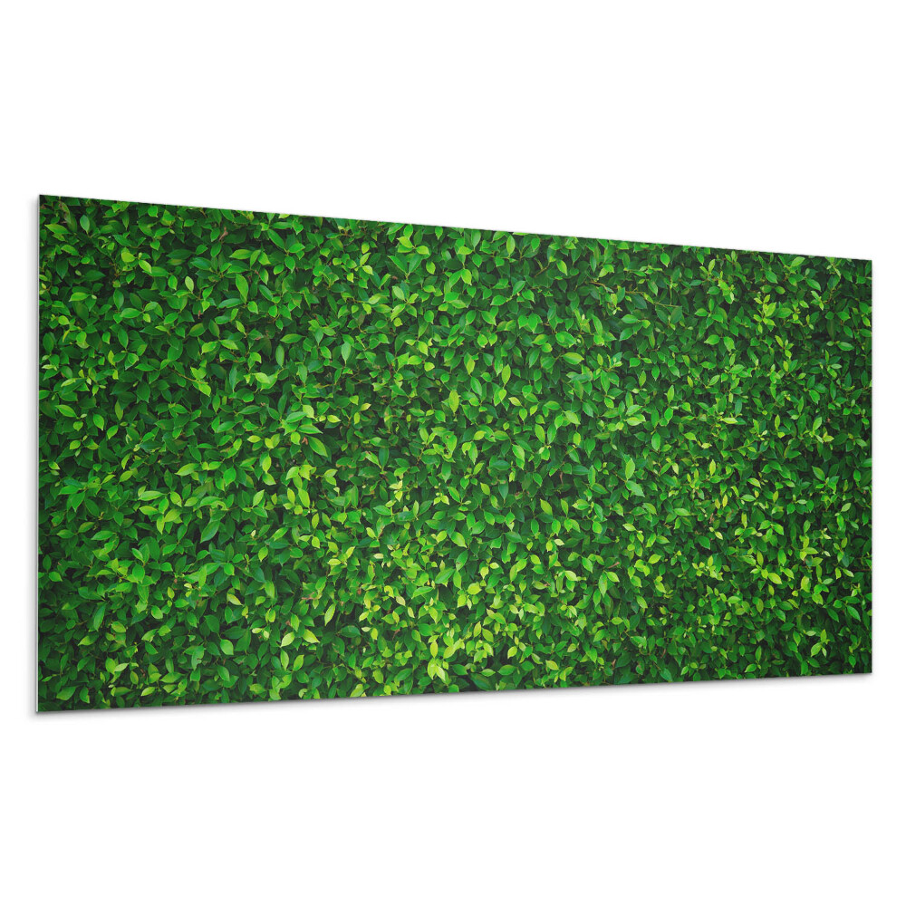 Panou decorativ Un zid dens de frunze