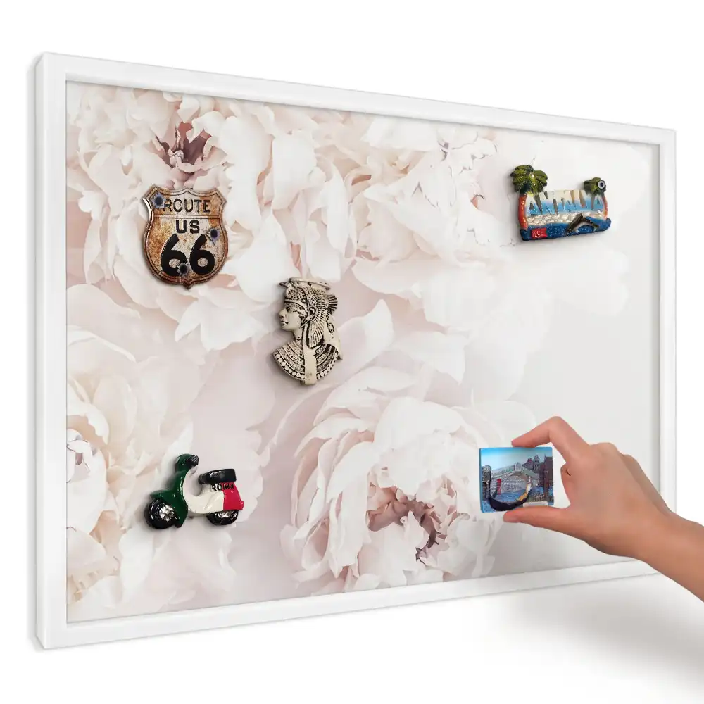 Panou magnetic decorativ cu bujori albi pe fundal deschis