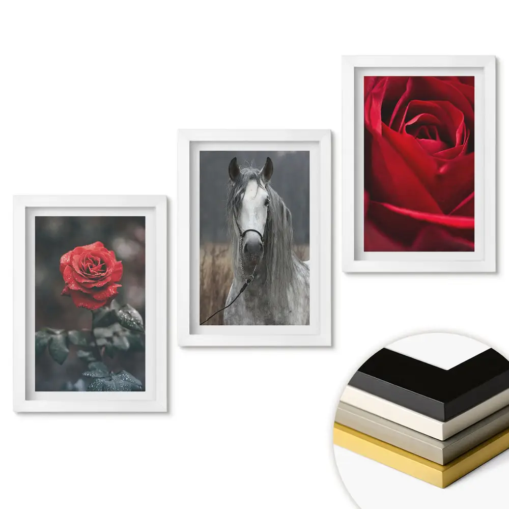 Set de tablouri pentru living cu flori și un cal într-o combinație armonioasă