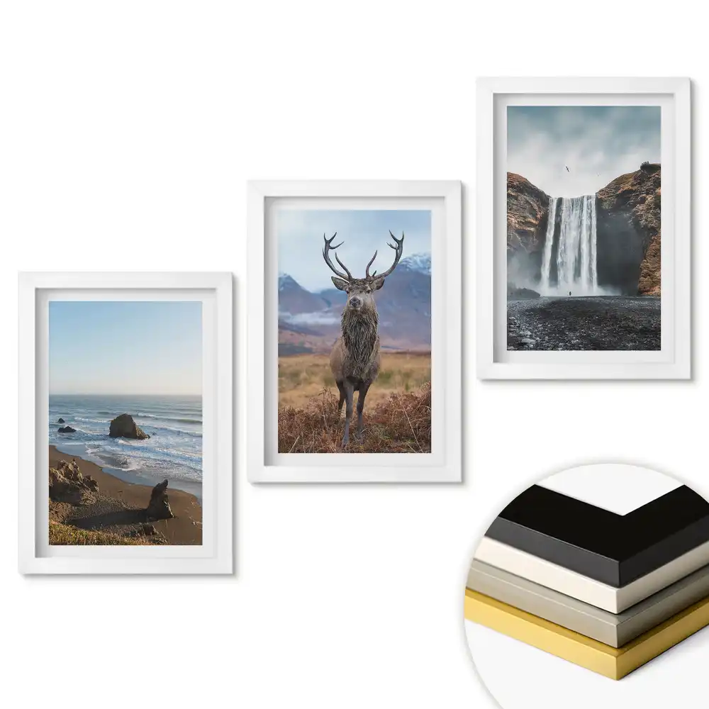 Set de tablouri pentru living Natura în trei versiuni