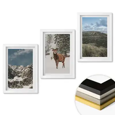 Set de 3 tablouri pentru dormitor cu tematică Natura în trei versiuni