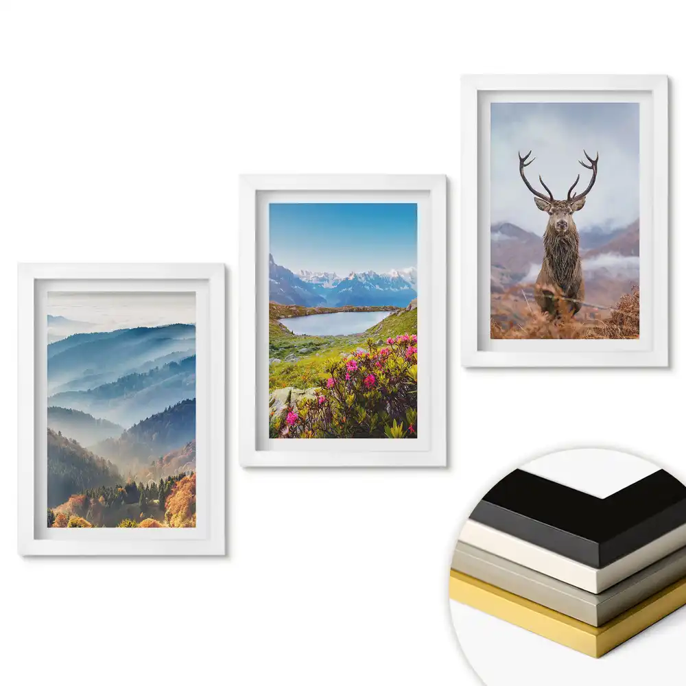 Set 3 tablouri dormitor Frumusețea naturii în trei versiuni