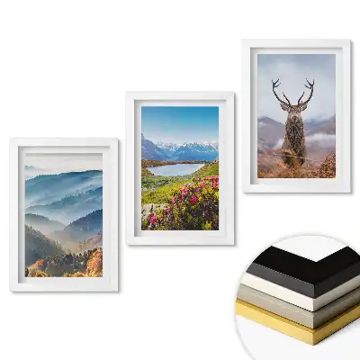 Set 3 tablouri dormitor Frumusețea naturii în trei versiuni