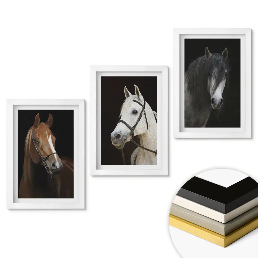 Set de 3 tablouri pentru dormitor cu portrete de cai