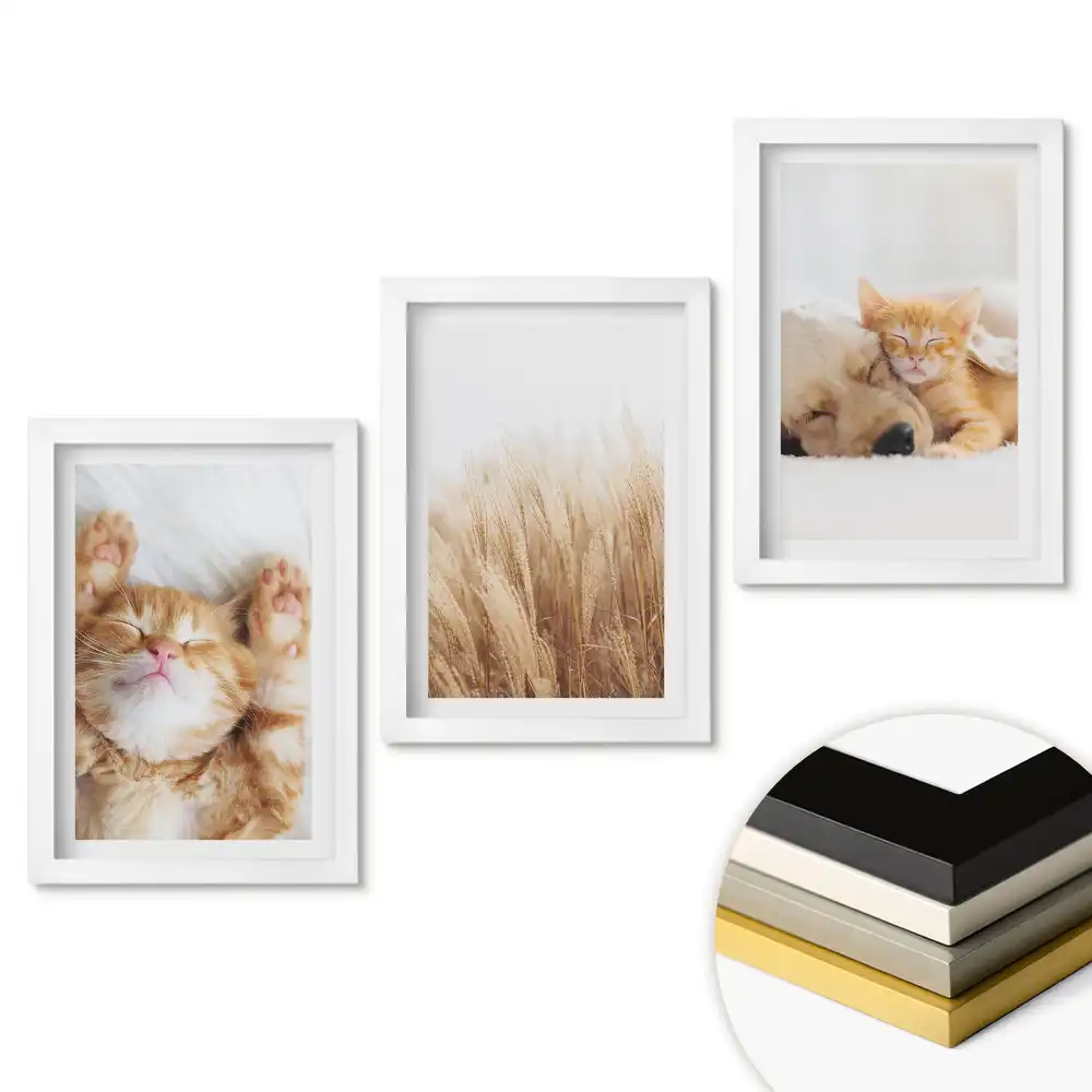 Set de 3 tablouri pentru dormitor cu pisici în stil natural