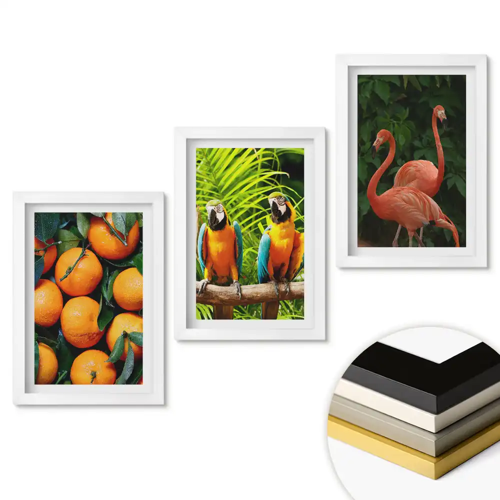 Set 3 tablouri pentru dormitor cu design natură colorată