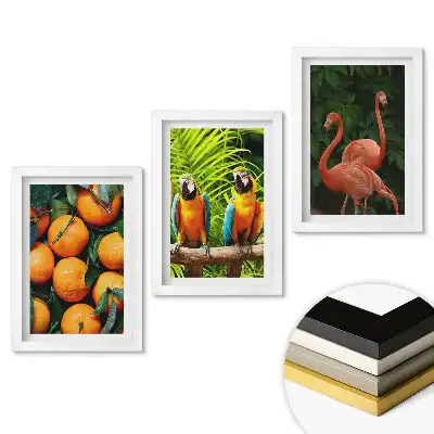 Set 3 tablouri dormitor Natură colorată în trei versiuni