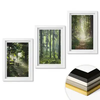 Set tablouri living Oaze verzi de pace în pădure