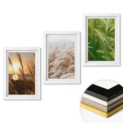 Set de 3 tablouri pentru dormitor cu peisaj de câmpuri de iarbă aurie la apus