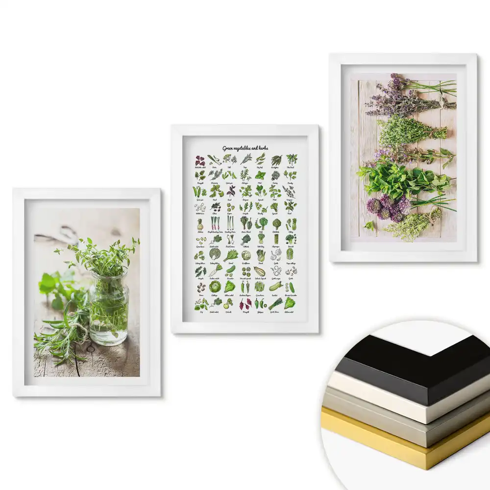 Set 3 tablouri pentru dormitor cu motive botanice Ierburi și plante
