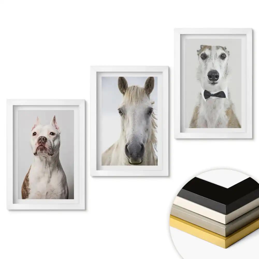 Set de 3 tablouri pentru dormitor cu animale în portrete elegante