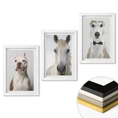 Set 3 tablouri dormitor Animale în portrete elegante