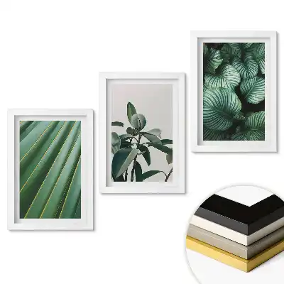 Set tablouri living Armonie verde în trei versiuni