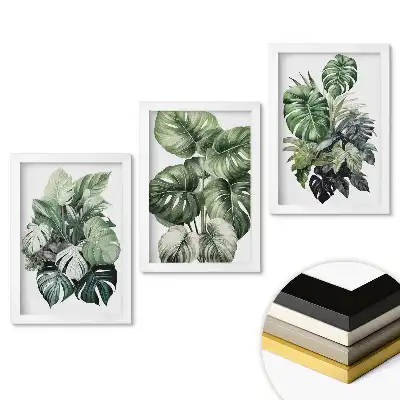 Set tablouri living Oază Verde: Inspirații pentru Decorarea pe Bază de Plante