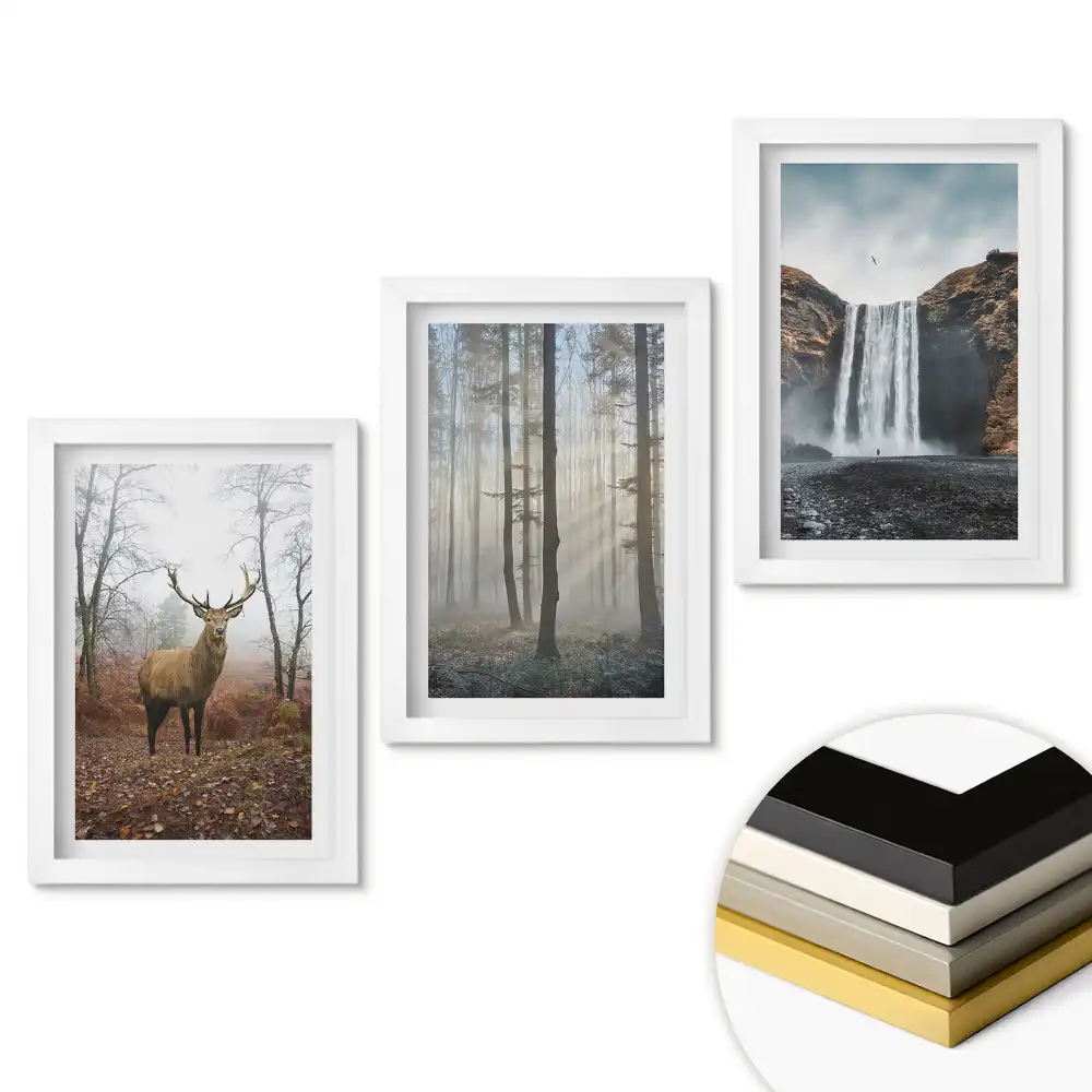 Set tablouri living Natura în trei versiuni diferite