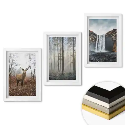 Set de trei tablouri pentru living cu tematică Natura