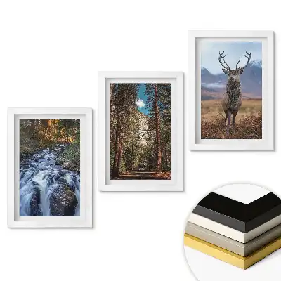 Set tablouri living Natura în trei versiuni