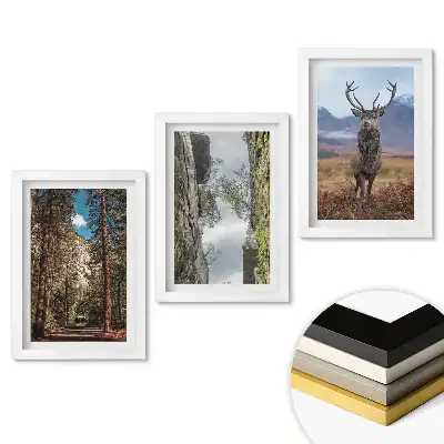 Set 3 tablouri dormitor Natura în trei versiuni