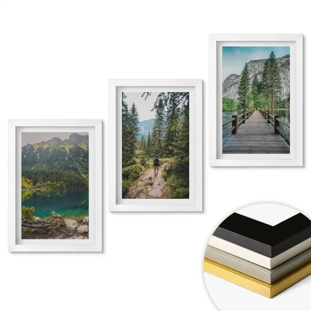 Set tablouri living Natura în trei versiuni