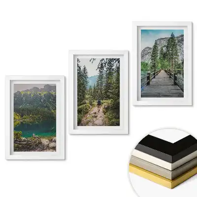 Set de tablouri pentru living Natura în trei versiuni