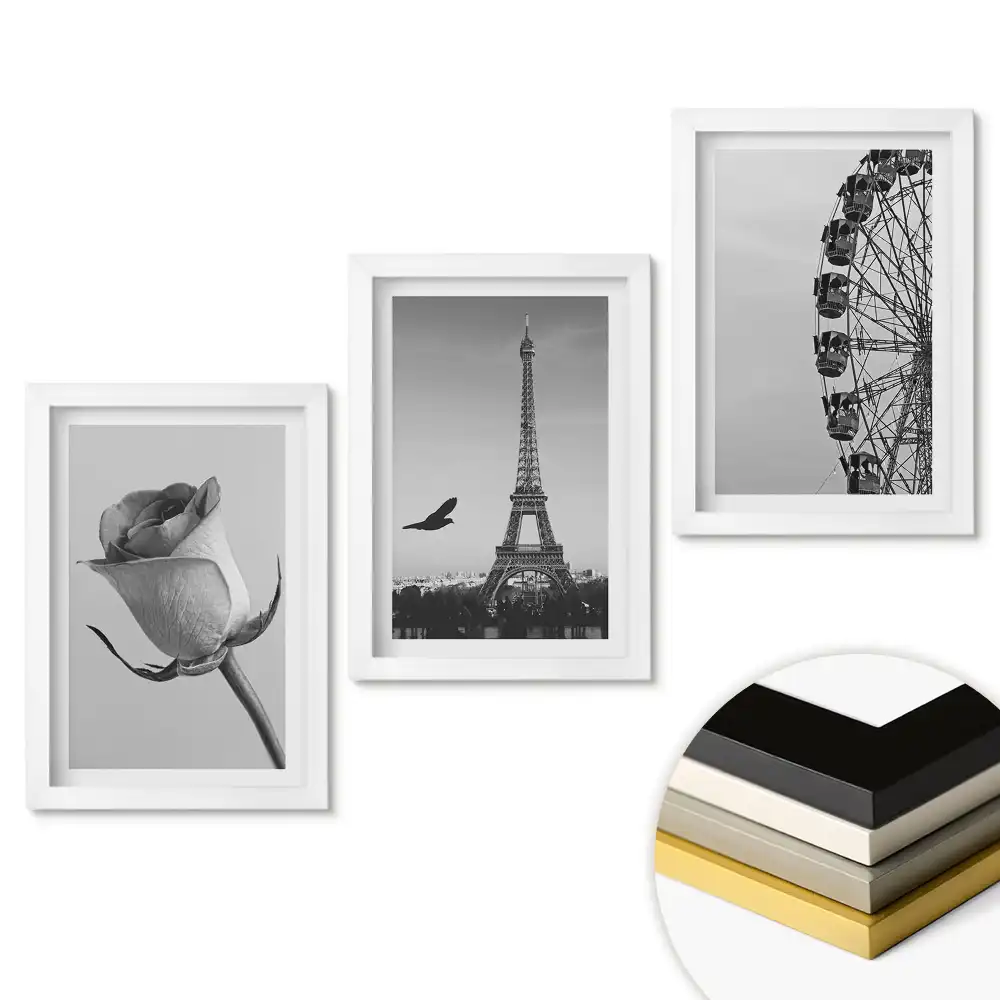 Set 3 tablouri pentru dormitor cu design floare, Turnul Eiffel și roată mare