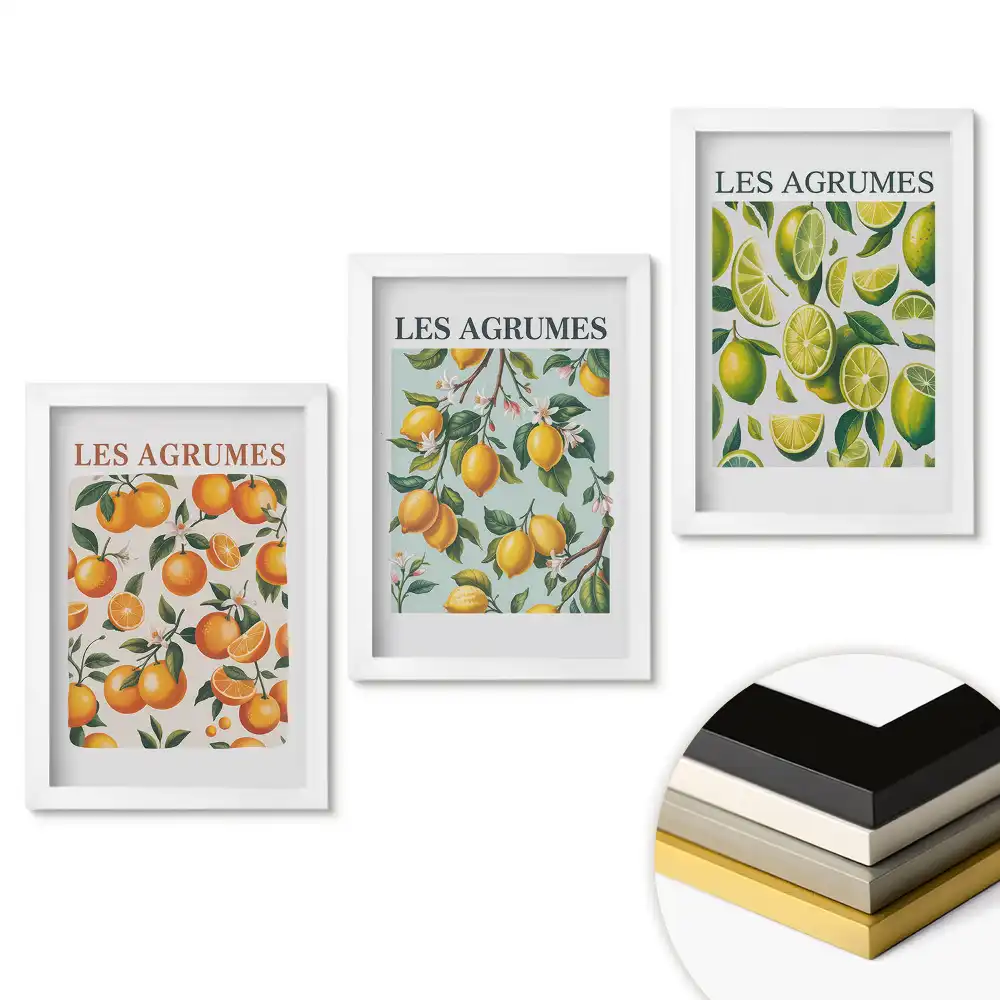 Set tablouri living Citrice în ilustrații colorate