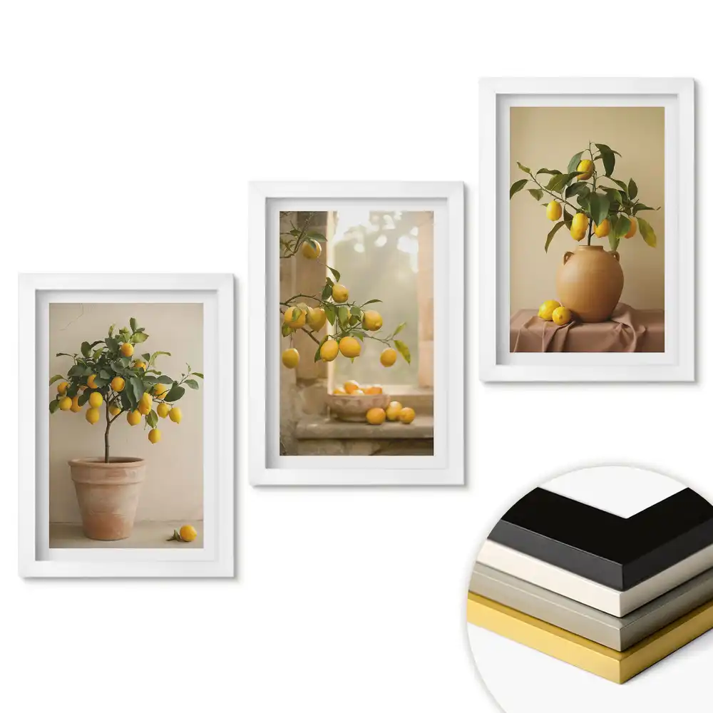 Set tablouri pentru living Farmecul citricelor