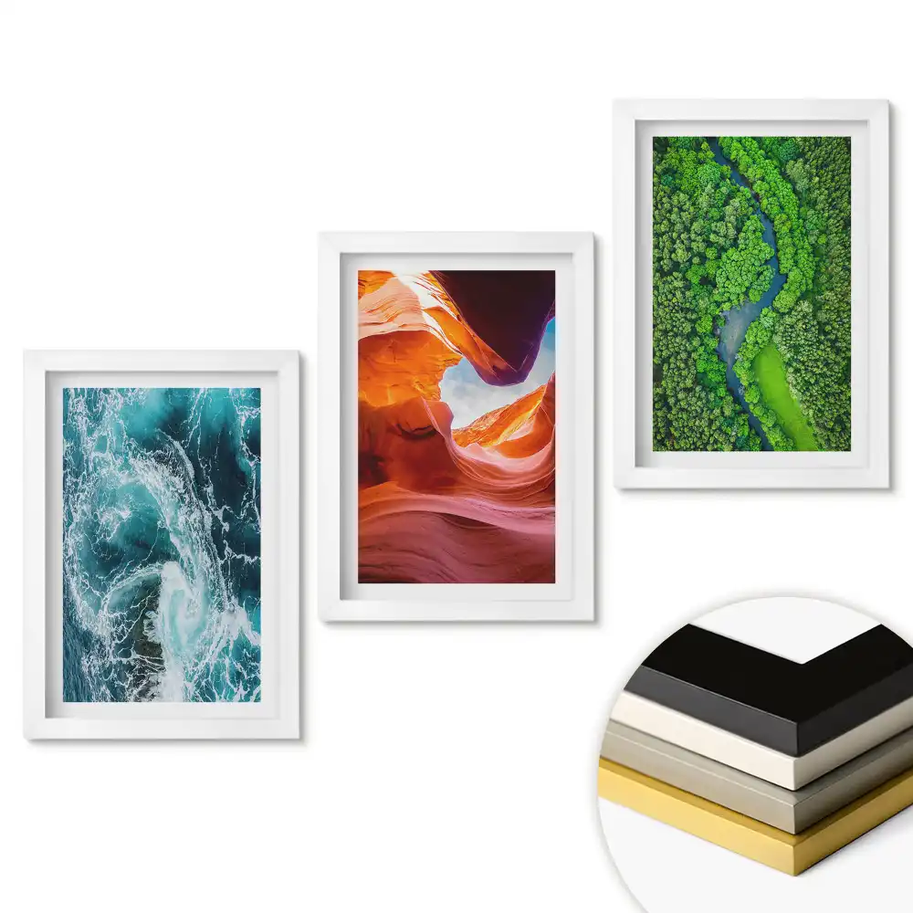 Set de trei tablouri pentru living cu design Natura