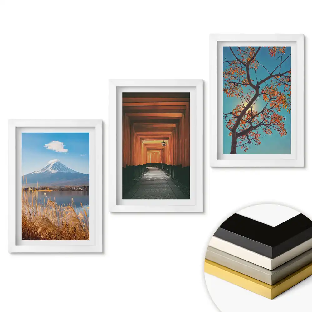Set de 3 tablouri pentru dormitor cu tematică naturală în trei variante
