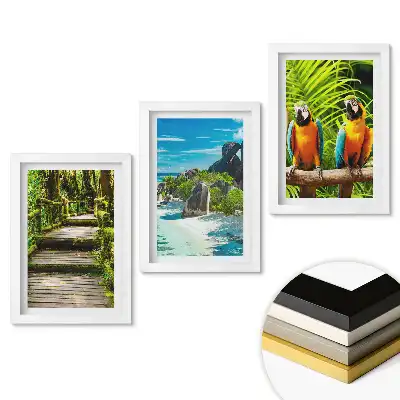 Set 3 tablouri dormitor Peisaje tropicale și păsări colorate